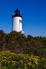 Wildflowers Surround Cape Poge Light in Massachusetts